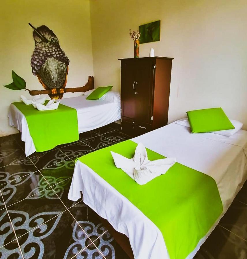 Ecohotel Colibri Salento Luna Park ภายนอก รูปภาพ
