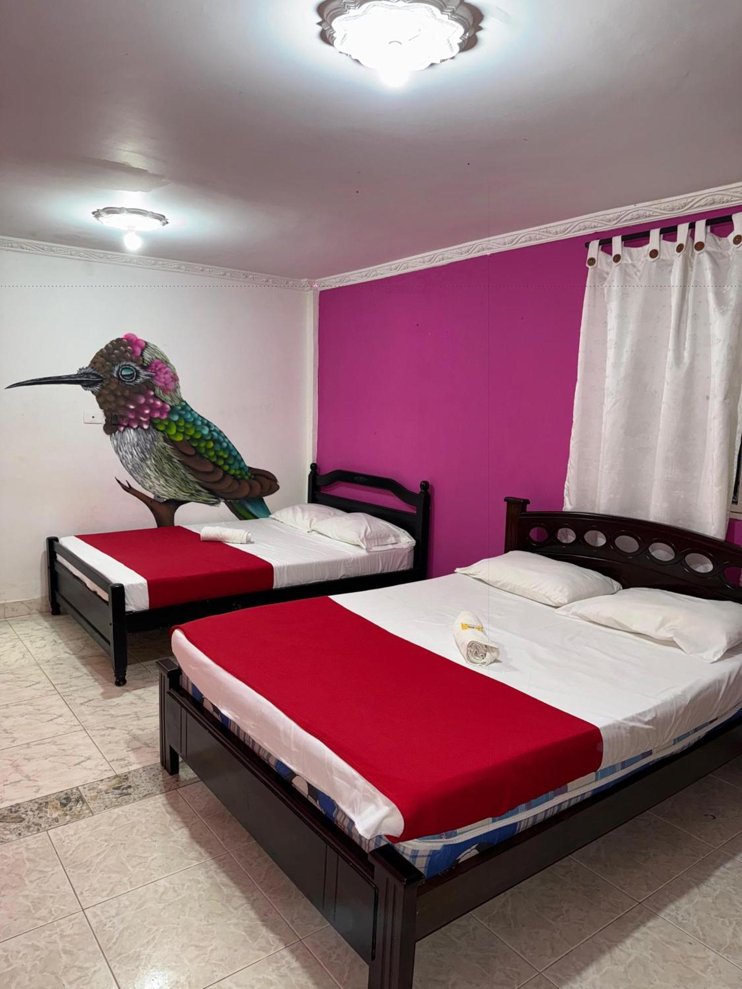 Ecohotel Colibri Salento Luna Park ภายนอก รูปภาพ