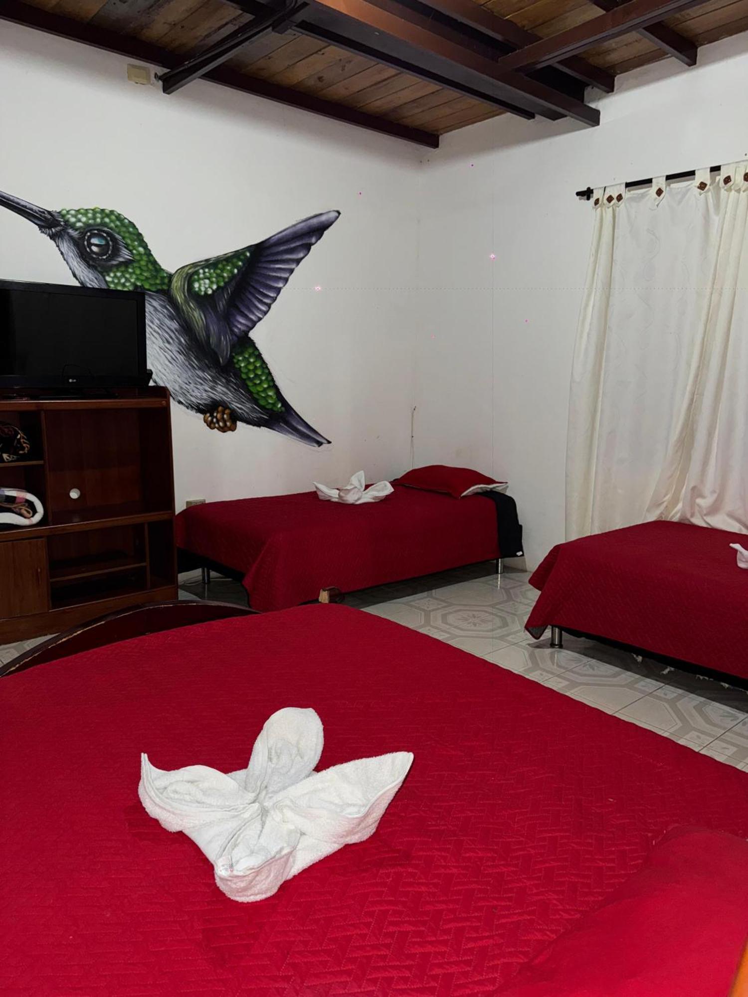 Ecohotel Colibri Salento Luna Park ภายนอก รูปภาพ