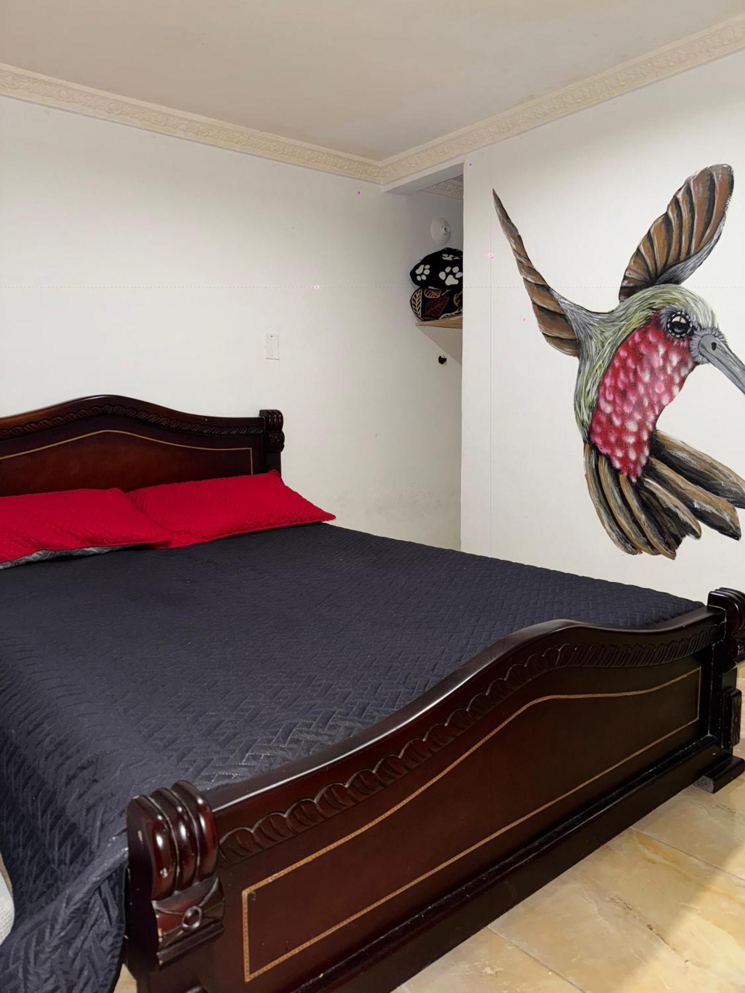 Ecohotel Colibri Salento Luna Park ภายนอก รูปภาพ