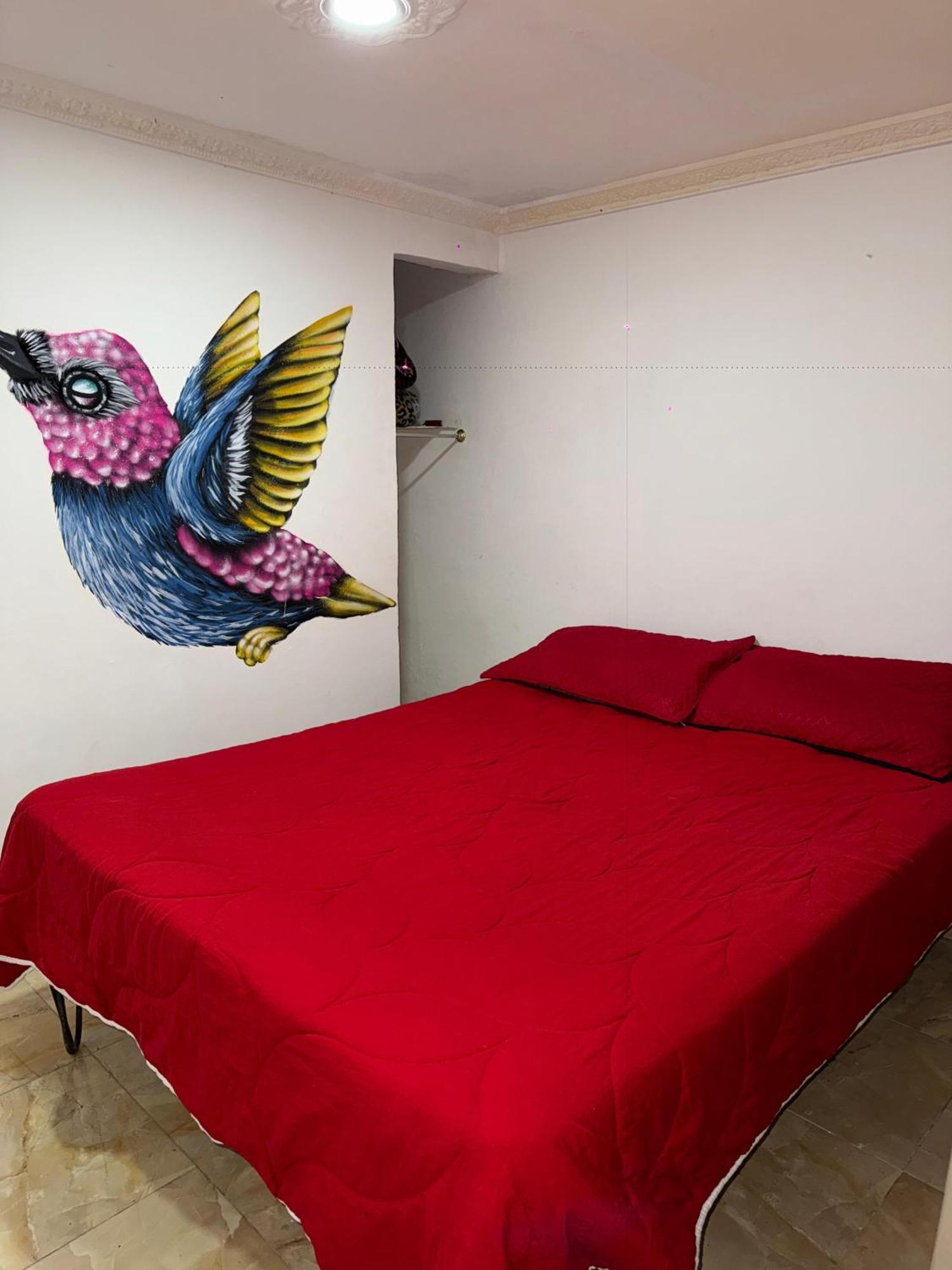 Ecohotel Colibri Salento Luna Park ภายนอก รูปภาพ